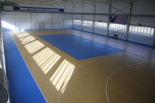 Спортивный линолеум Apoluza Sportfloor PVC Wood 6.5