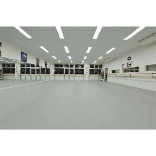 Сценический линолеум Apoluza Sportfloor Dance 02