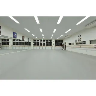 Сценический линолеум Apoluza Sportfloor Dance 02