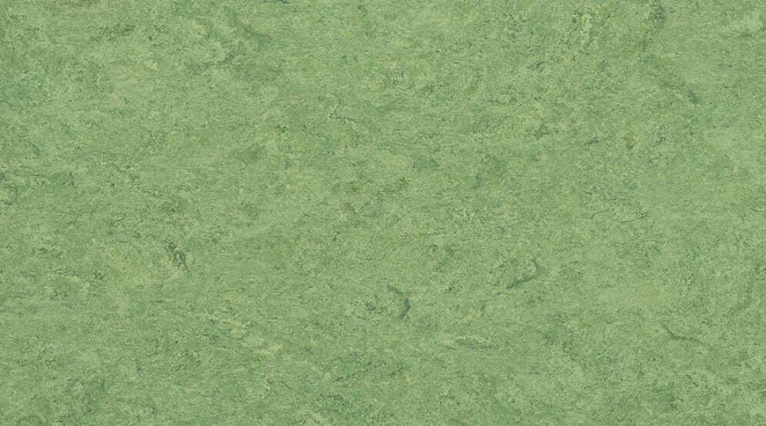 Натуральный линолеум Gerflor Marmorette 0100 Frog Green