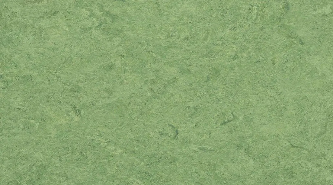 Натуральный линолеум Gerflor Marmorette 0100 Frog Green