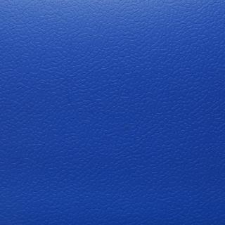Спортивный линолеум DLV Active Sports Multisport 6.0 Blue