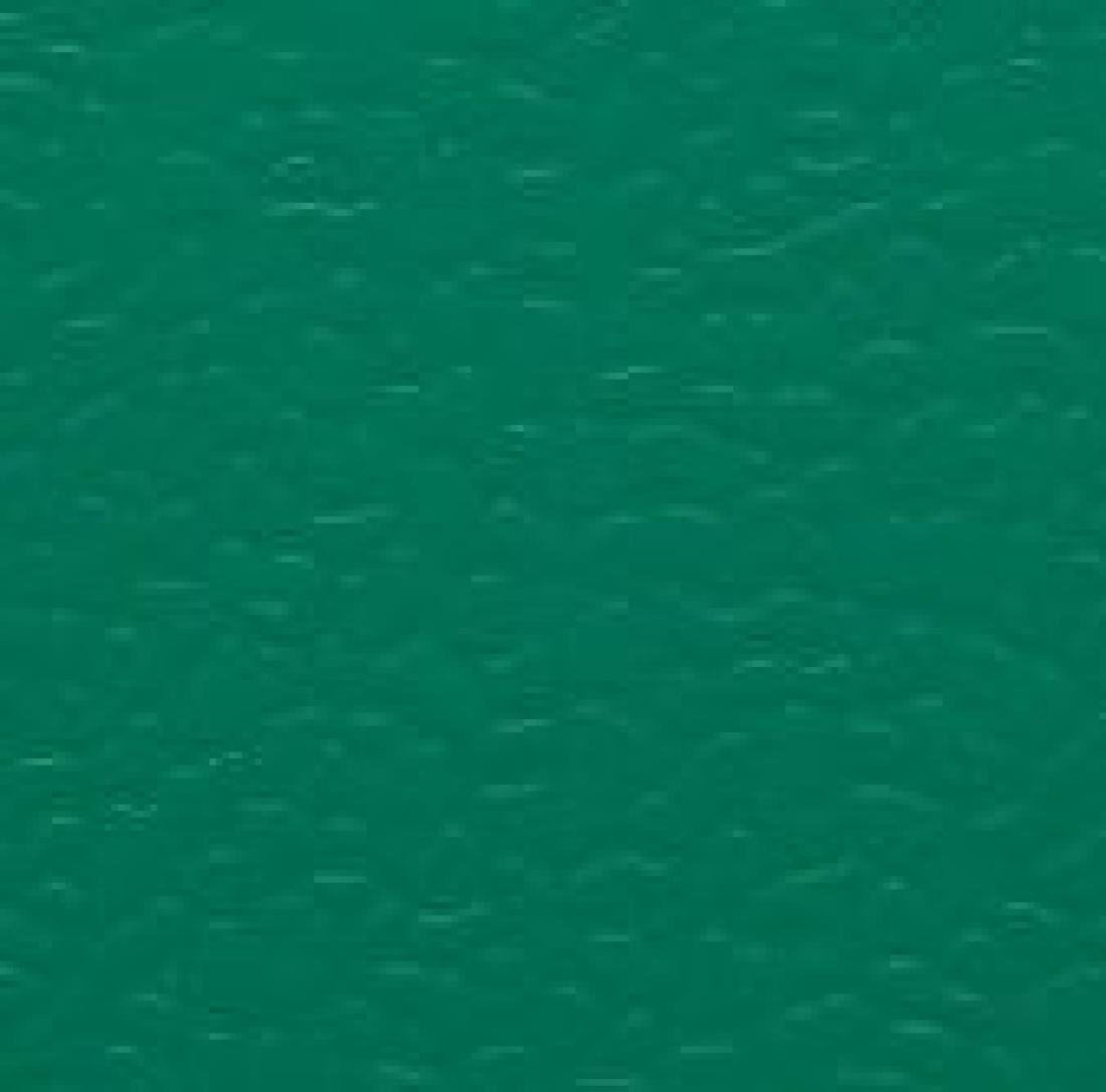 Спортивный линолеум DLV Active Sports Multisport 6.5 AS 135 Green
