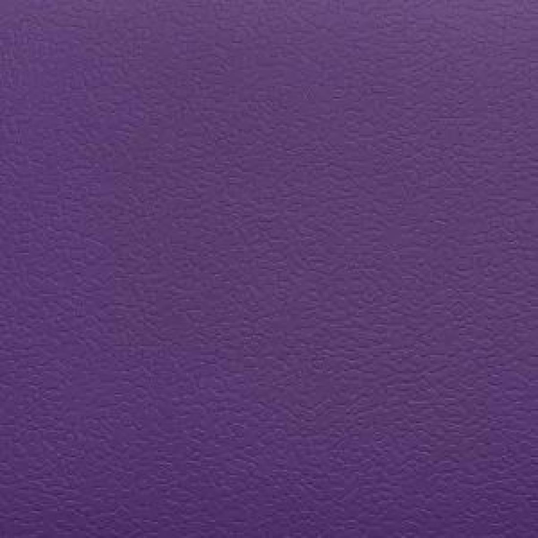 Спортивный линолеум DLV Multisport 4.0 AS 160 Purple