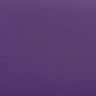 Спортивный линолеум DLV Multisport 4.0 AS 160 Purple