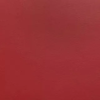 Спортивный линолеум DLV Multisport 8.3 AS 135 Red