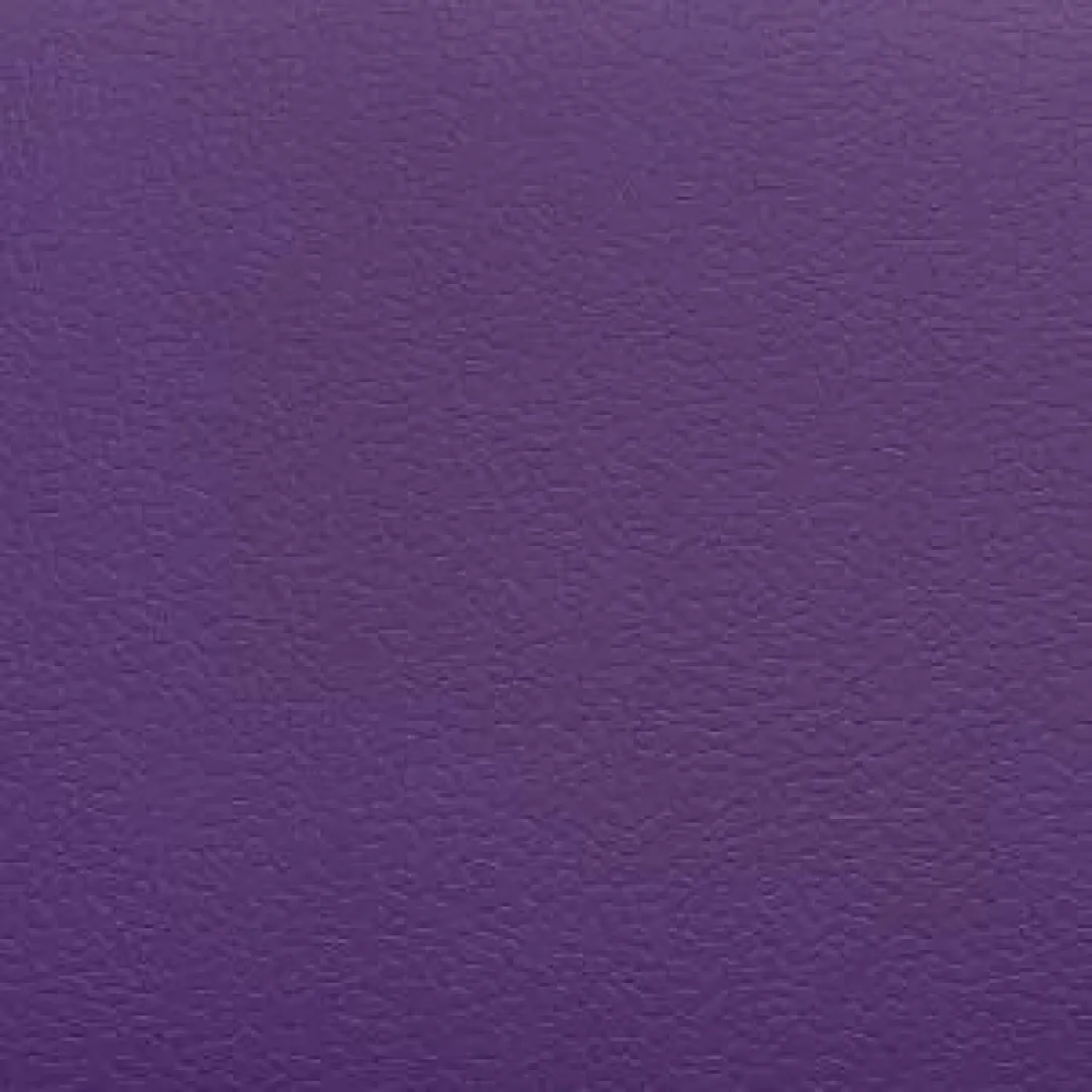 Спортивный линолеум DLV Multisport 8.3 AS 160 Purple