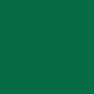 Спортивный линолеум Tarkett Omnisports Action 65 Field Green