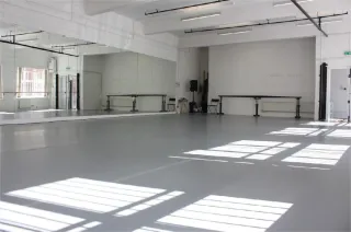 Сценический линолеум Apoluza Sportfloor Dance DUO