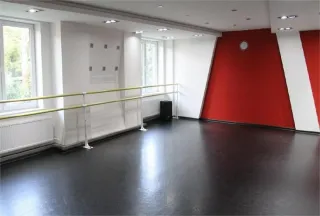 Сценический линолеум Apoluza Sportfloor Dance DUO