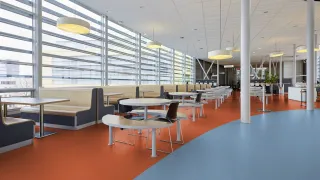 Коммерческий линолеум Gerflor Mipolam Accord 0315 Orange River