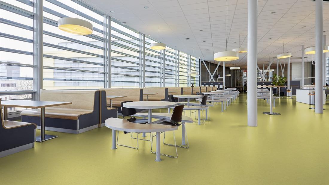 Коммерческий линолеум Gerflor Mipolam Accord 0447 Grunsee