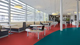 Коммерческий линолеум Gerflor Mipolam Affinity 4475 Cinabre