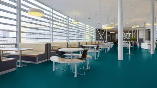 Коммерческий линолеум Gerflor Mipolam Affinity 4476 Amethyst