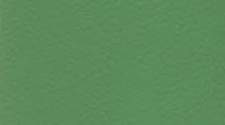 Спортивный линолеум Gerflor Recreation 60 uni 6556 Verde