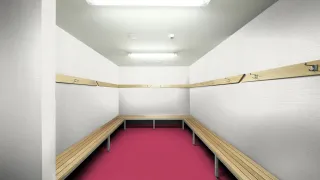 Спортивный линолеум Gerflor Taraflex Performance uni 6159 Pink
