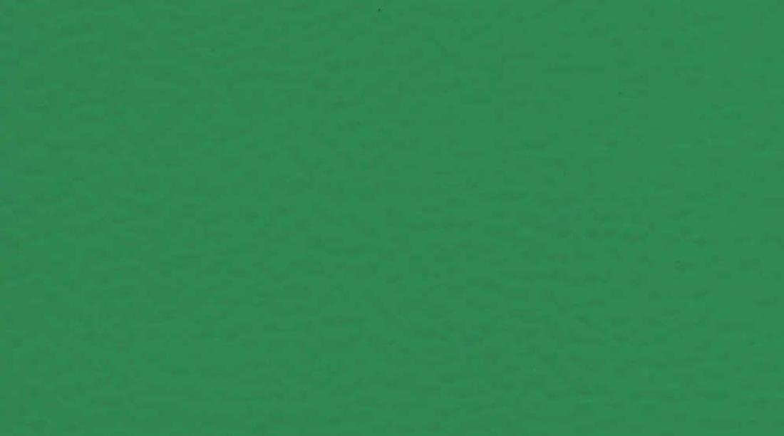 Спортивный линолеум Gerflor Taraflex Performance uni 6570 Mint Green