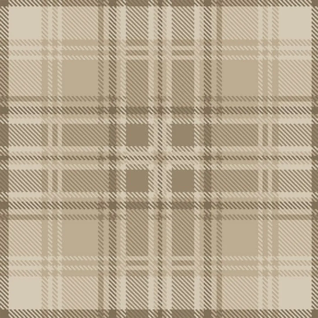 Ковролин Carus Inspirations Twist 1450 Check 24354