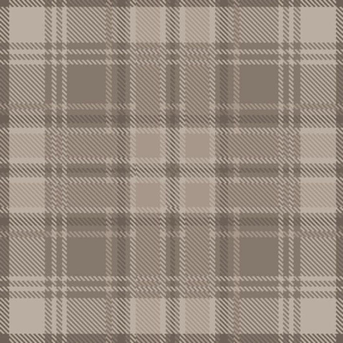 Ковролин Carus Inspirations Twist 1450 Check 26927
