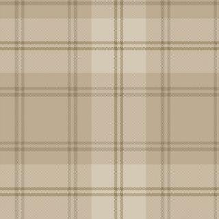 Ковролин Carus Inspirations Twist 1450 Plaid 24354