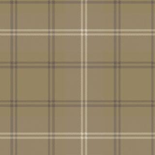 Ковролин Carus Inspirations Twist 1450 Plaid 24364