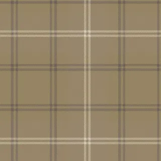 Ковролин Carus Inspirations Twist 1450 Plaid 24364