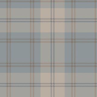 Ковролин Carus Inspirations Twist 1450 Plaid 26818