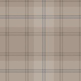 Ковролин Carus Inspirations Twist 1450 Plaid 26917
