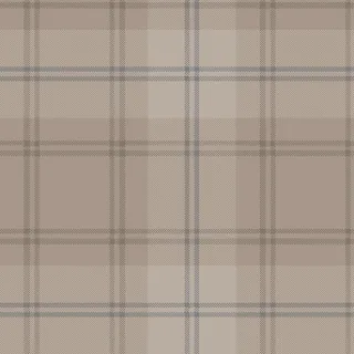 Ковролин Carus Inspirations Twist 1450 Plaid 26917