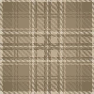 Ковролин Carus Inspirations Twist 800 Check 24374