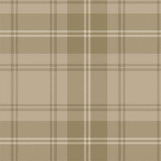 Ковролин Carus Inspirations Twist 800 Plaid 24374