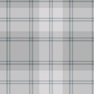 Ковролин Carus Inspirations Twist 800 Plaid 25109
