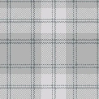 Ковролин Carus Inspirations Twist 800 Plaid 25109