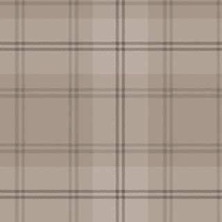 Ковролин Carus Inspirations Twist 800 Plaid 26927