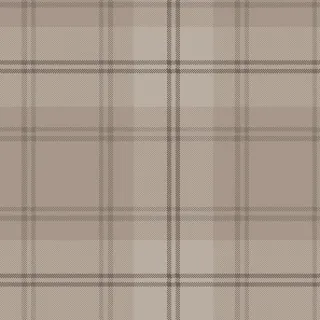 Ковролин Carus Inspirations Twist 800 Plaid 26927
