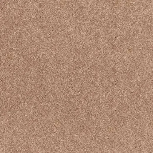 Ковролин Balsan Class Biche 720