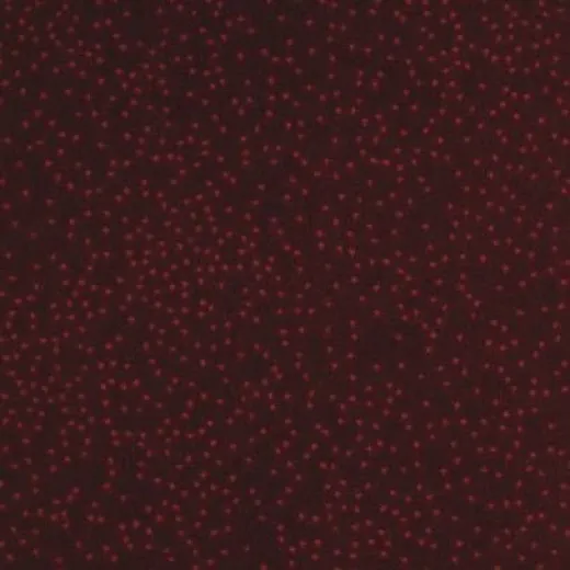 Ковролин Balsan Constellation 570 Omega
