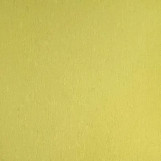 Ковролин Balsan Greens II Comfort 210