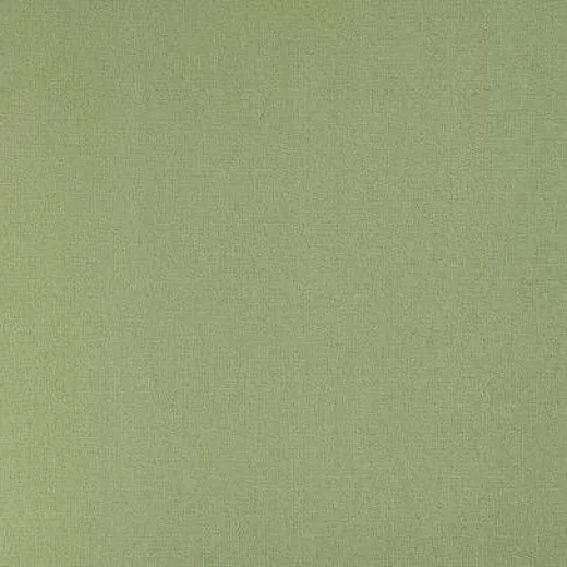 Ковролин Balsan Greens II Comfort 238