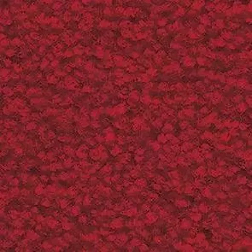 Ковролин Balsan Les First 570