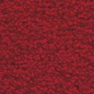 Ковролин Balsan Les First 570