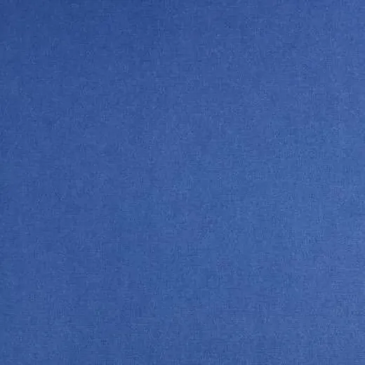 Ковролин Balsan Sydney DD 160