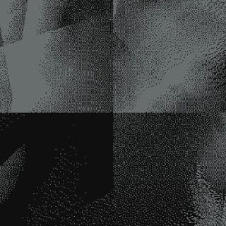 Ковролин Carus Inspirations Black Blends ВВ002_23099