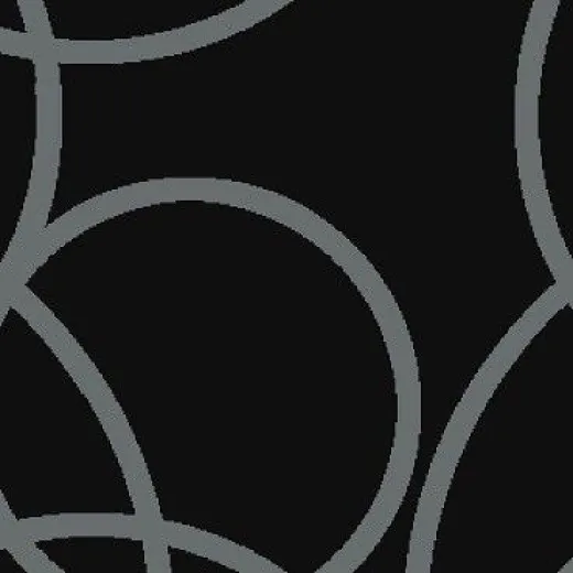 Ковролин Carus Inspirations Black Blends ВВ006_23099