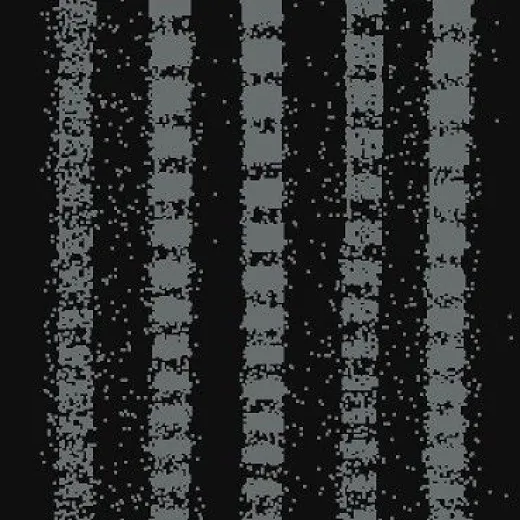 Ковролин Carus Inspirations Black Blends ВВ019_23099