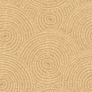 Ковролин Carus Inspirations Ethnic Chic Jabir ET 364