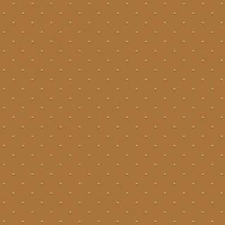Ковролин Carus Style Elegance se008 21b14
