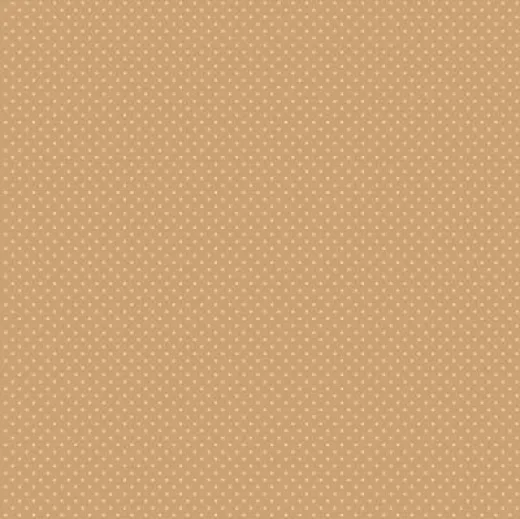 Ковролин Carus Style Elegance se011 21314