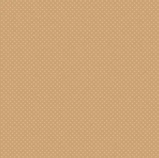 Ковролин Carus Style Elegance se011 21314