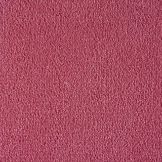 Ковролин Radici Admiral Blush 2203